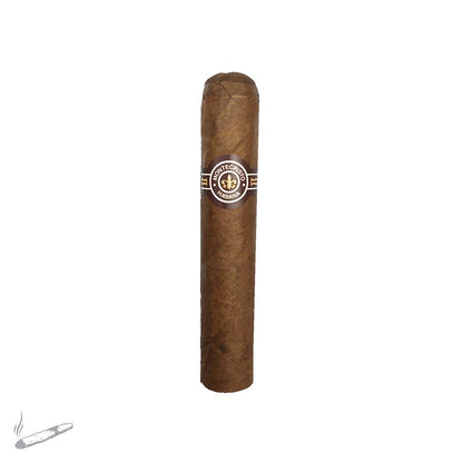 MONTECRISTO PETIT EDMUNDO