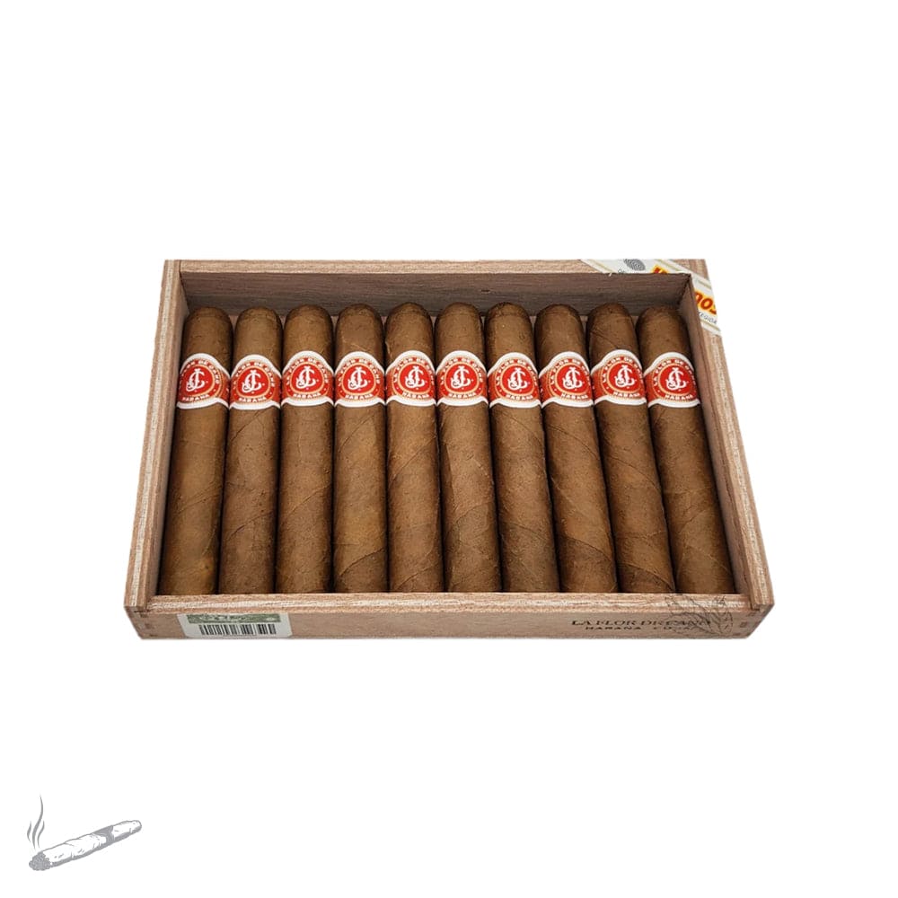 LA FLOR DE CANO