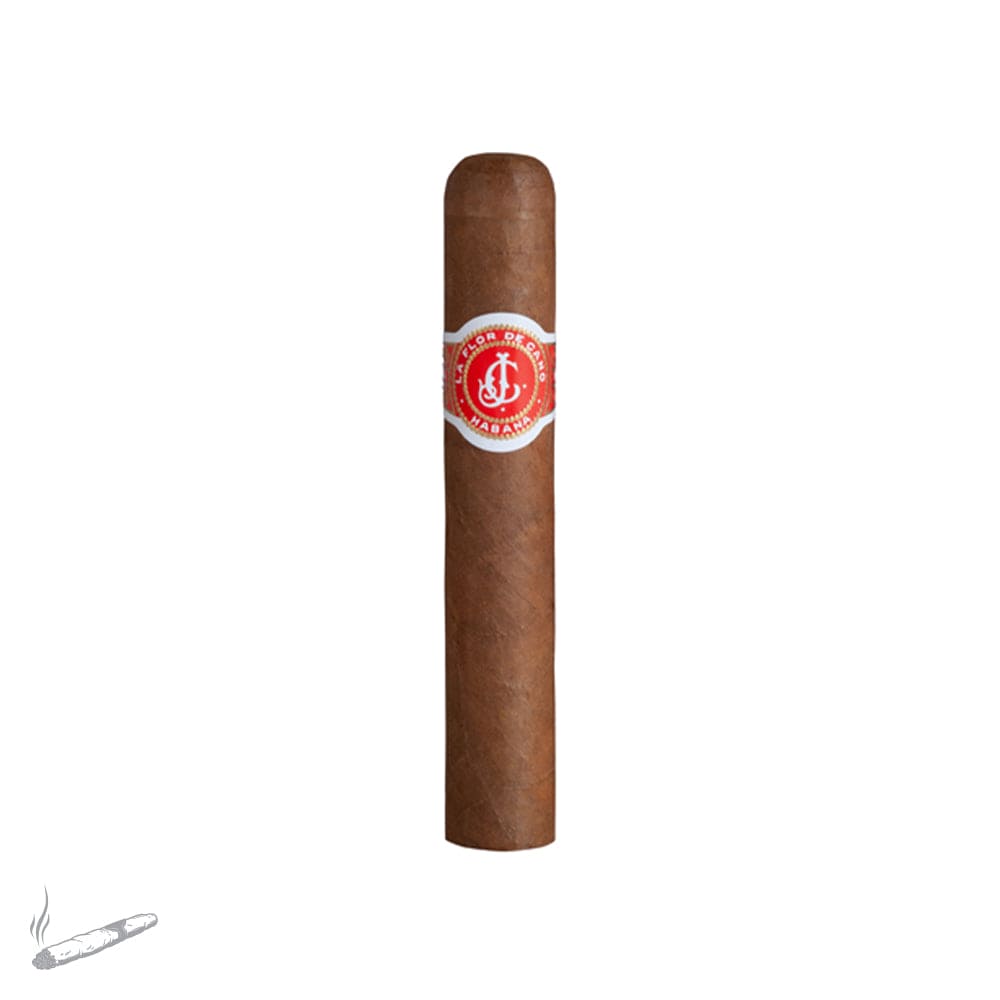 LA FLOR DE CANO