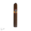 SP1014 ROBUSTO